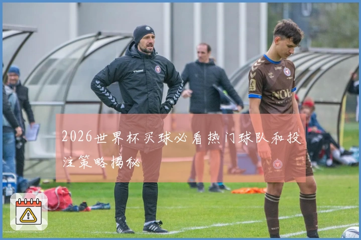 2026世界杯买球必看热门球队和投注策略揭秘