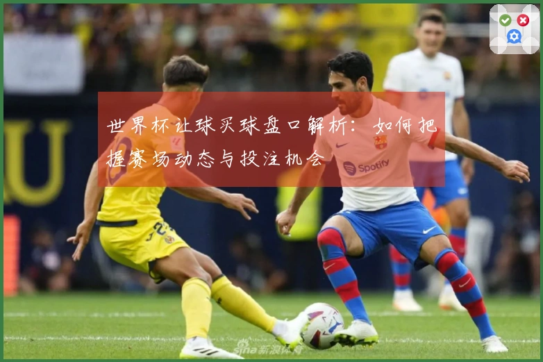 世界杯让球买球盘口解析：如何把握赛场动态与投注机会